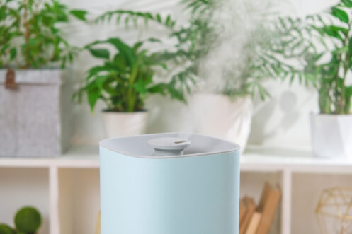 humidifiers and dehumidifiers in Hanover